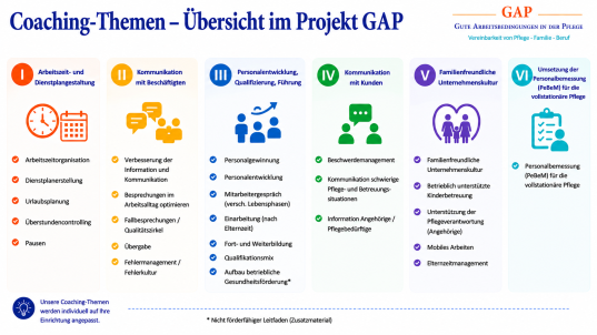 Leitfadenübersicht im Projekt GAP, Quelle: BQS Institut