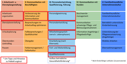 Leitfadenübersicht im Projekt GAP, Quelle: BQS Institut